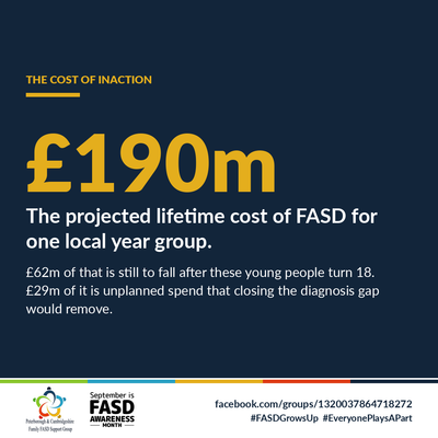 FASD Awareness Month
FASD Grows Up Part 10: commissioning to actually support the assessed need