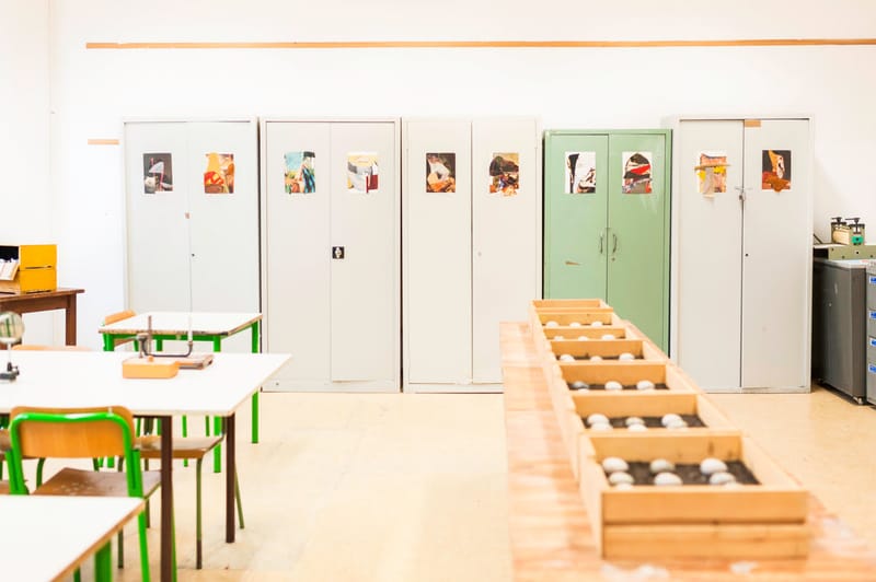 Non Playable Character 