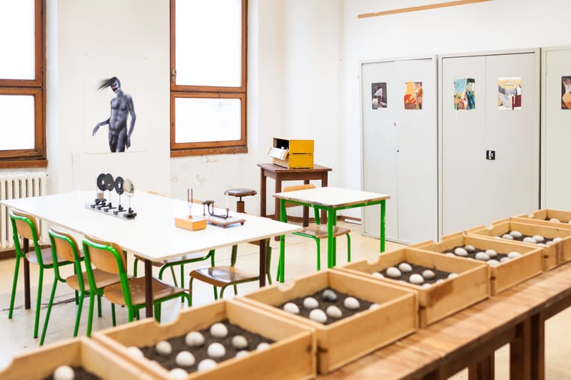 Non Playable Character 