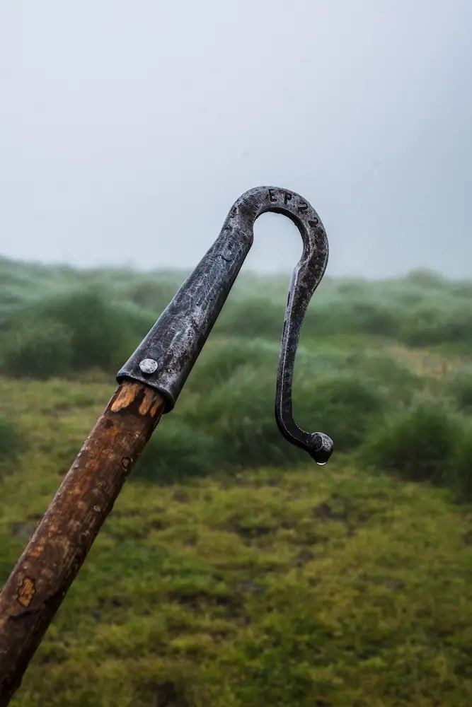 Exploring the lives of modern shepherd-women in Spain and beyond.