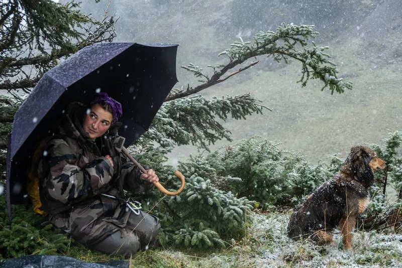 Exploring the lives of modern shepherd-women in Spain and beyond.