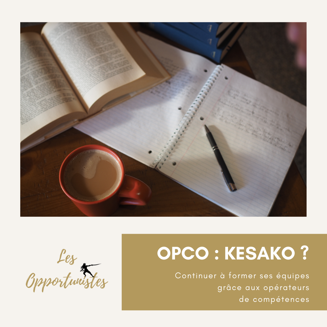 image illustrant OPCO : KESAKO ?