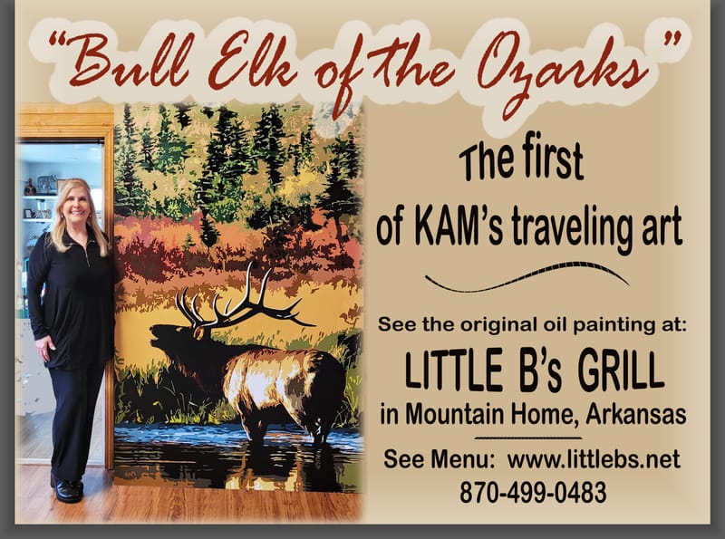 Traveling Art In Mountain Home, Arkansas