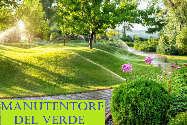 MANUTENTORE DEL VERDE  (corso autorizzato dalla Regione Puglia con AD 01758 del 18/11/2024)