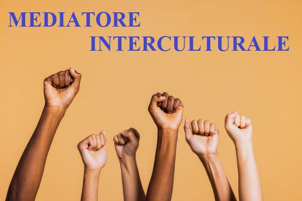 TECNICO DELLA MEDIAZIONE INTERCULTURALE (figura professionale riconosciuta dalla Regione Puglia)