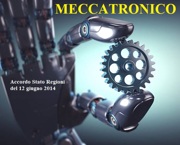 TECNICO MECCATRONICO DELLE AUTORIPARAZIONI                   (figura professionale riconosciuta dalla Regione Puglia)