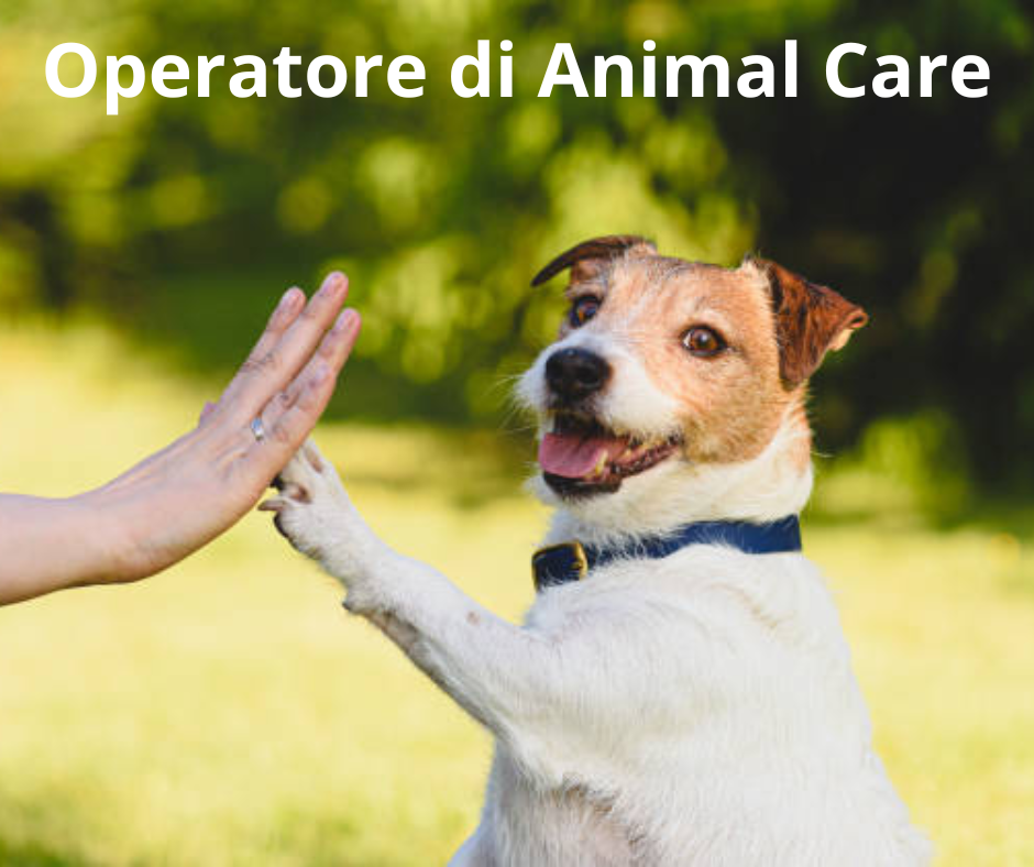 Qualifica "Operatore di Animal Care"          figura professionale riconosciuta dalla Regione Puglia