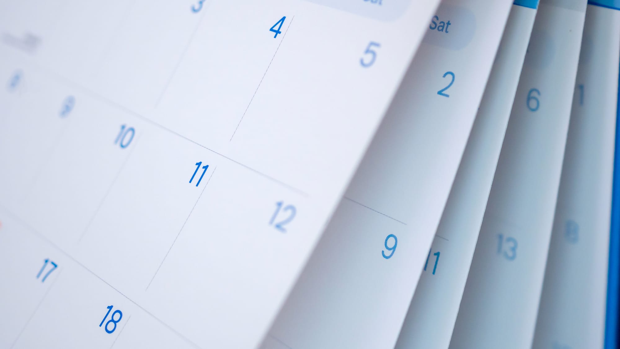 STRUTTURA CALENDARIO CORSO MCB