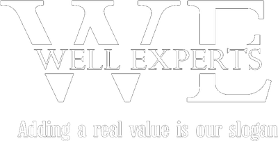 Well Experts