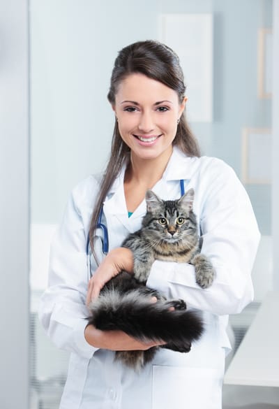 Pies najlepszym pracodawcą człowieka?