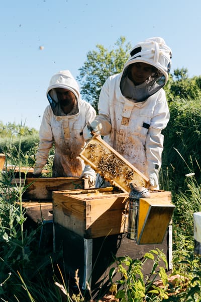 Najlepsze hobby przyszłości?