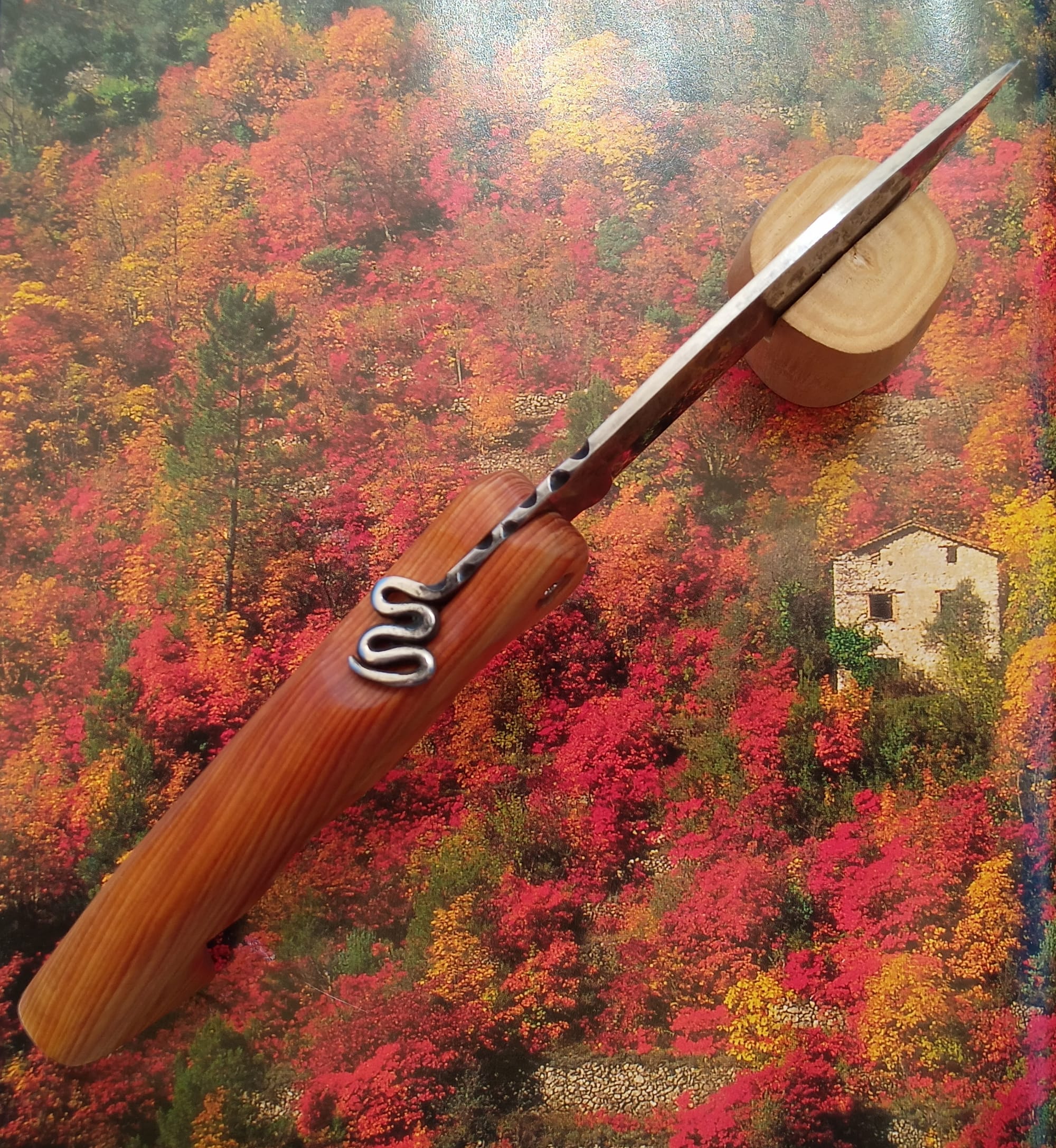 LE PIÉMONTAIS