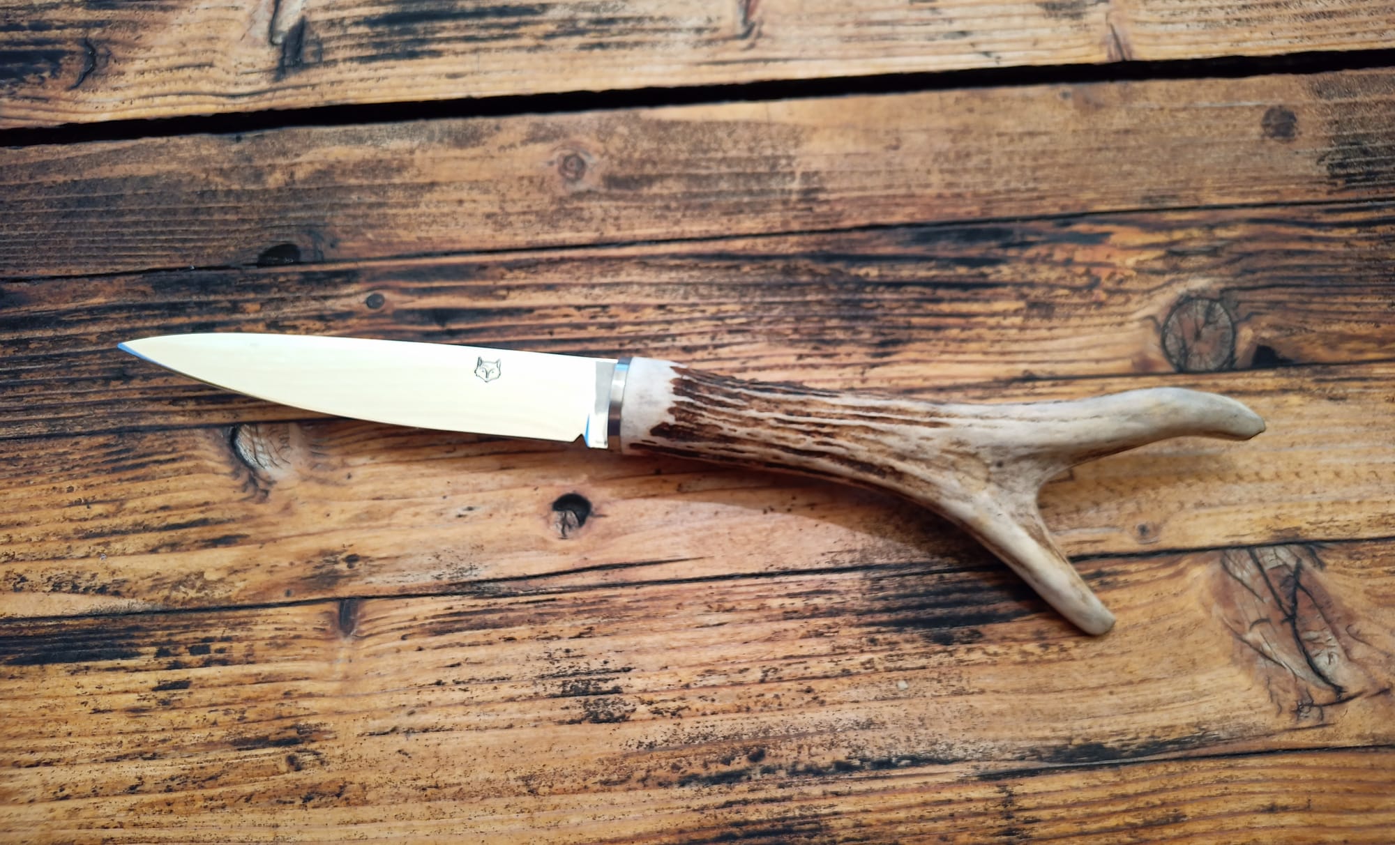 Couteau d'office bois de chevreuil.