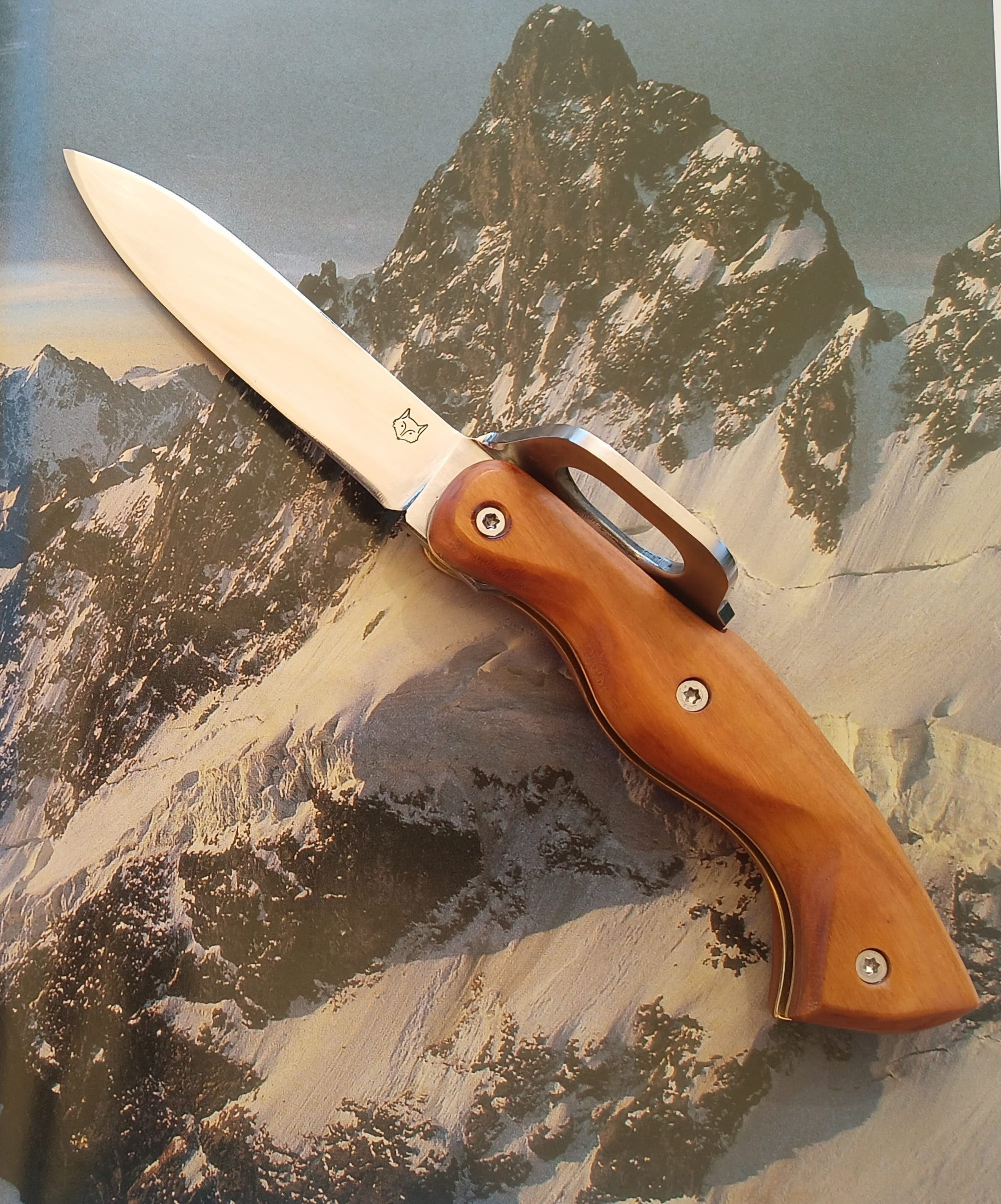 L' ALPIN.