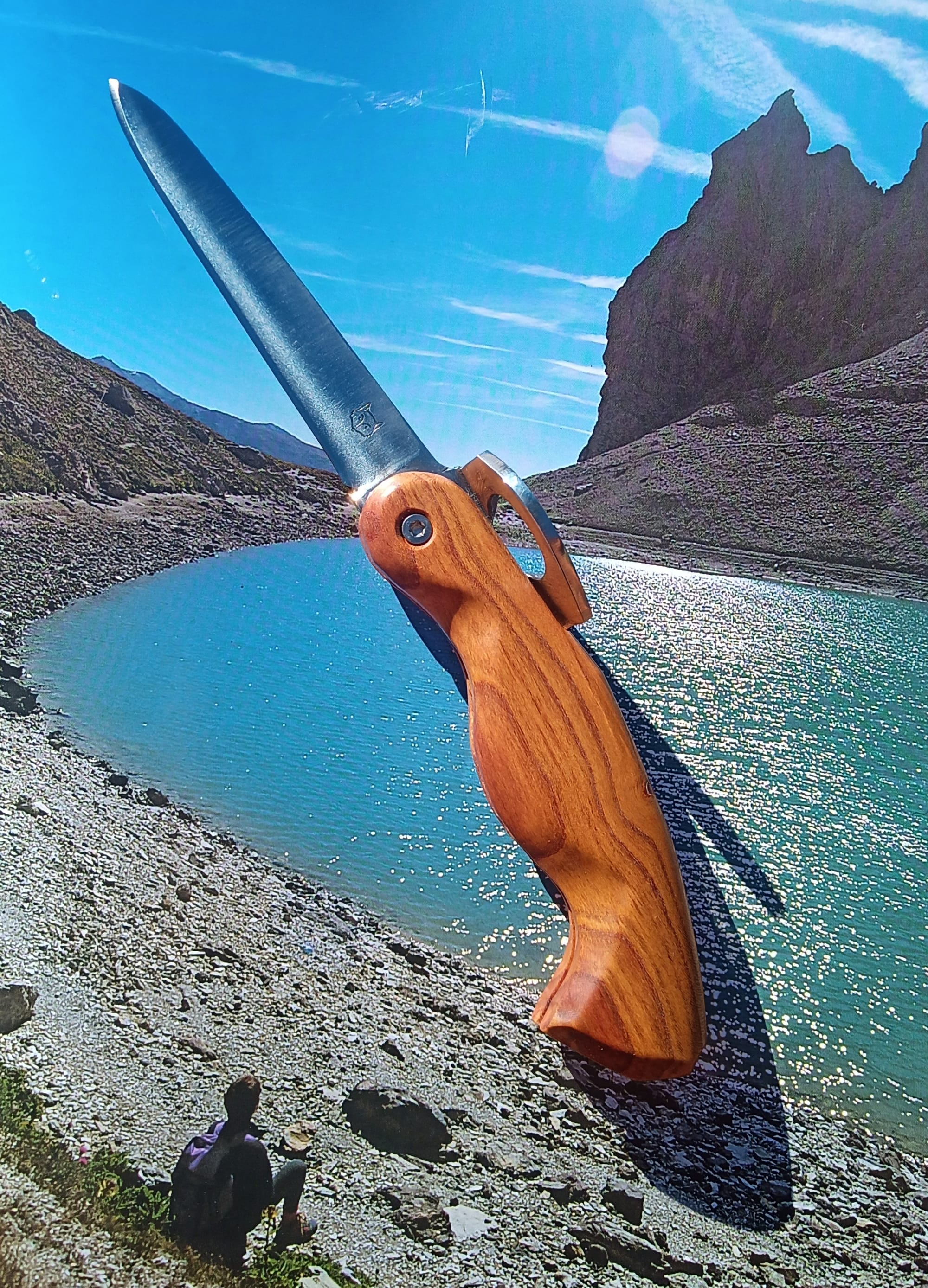 L'ALPIN