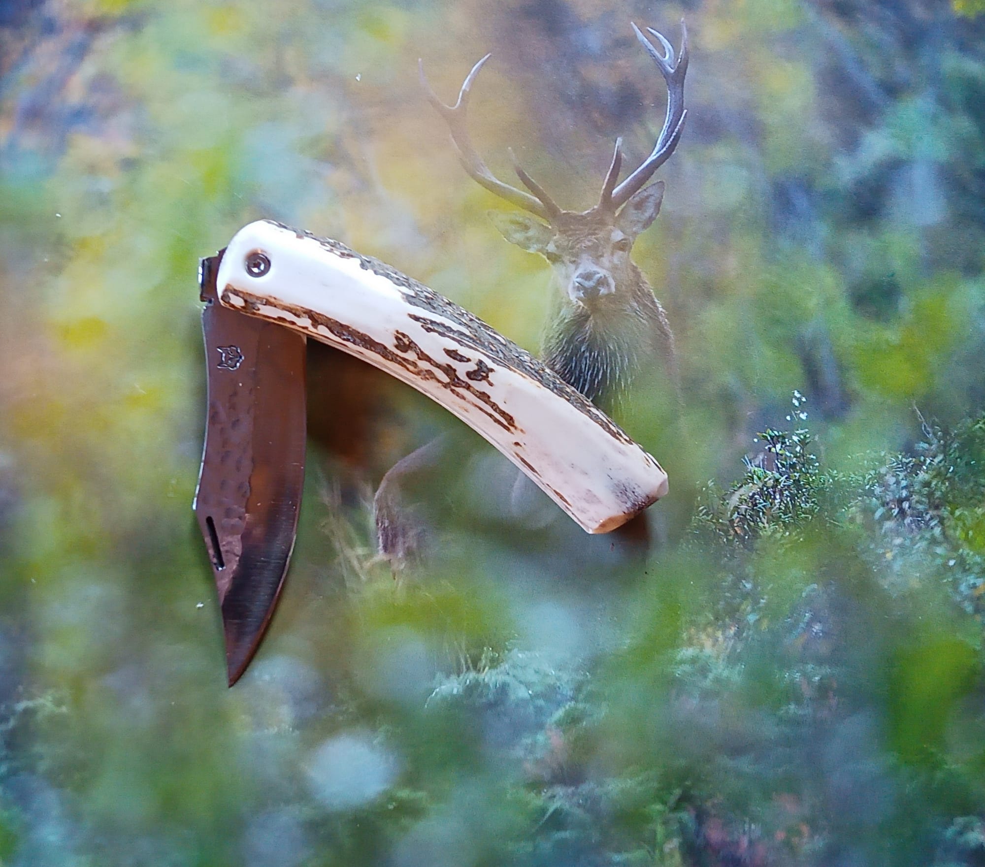 PIÉMONTAIS bois de cerf - 90€