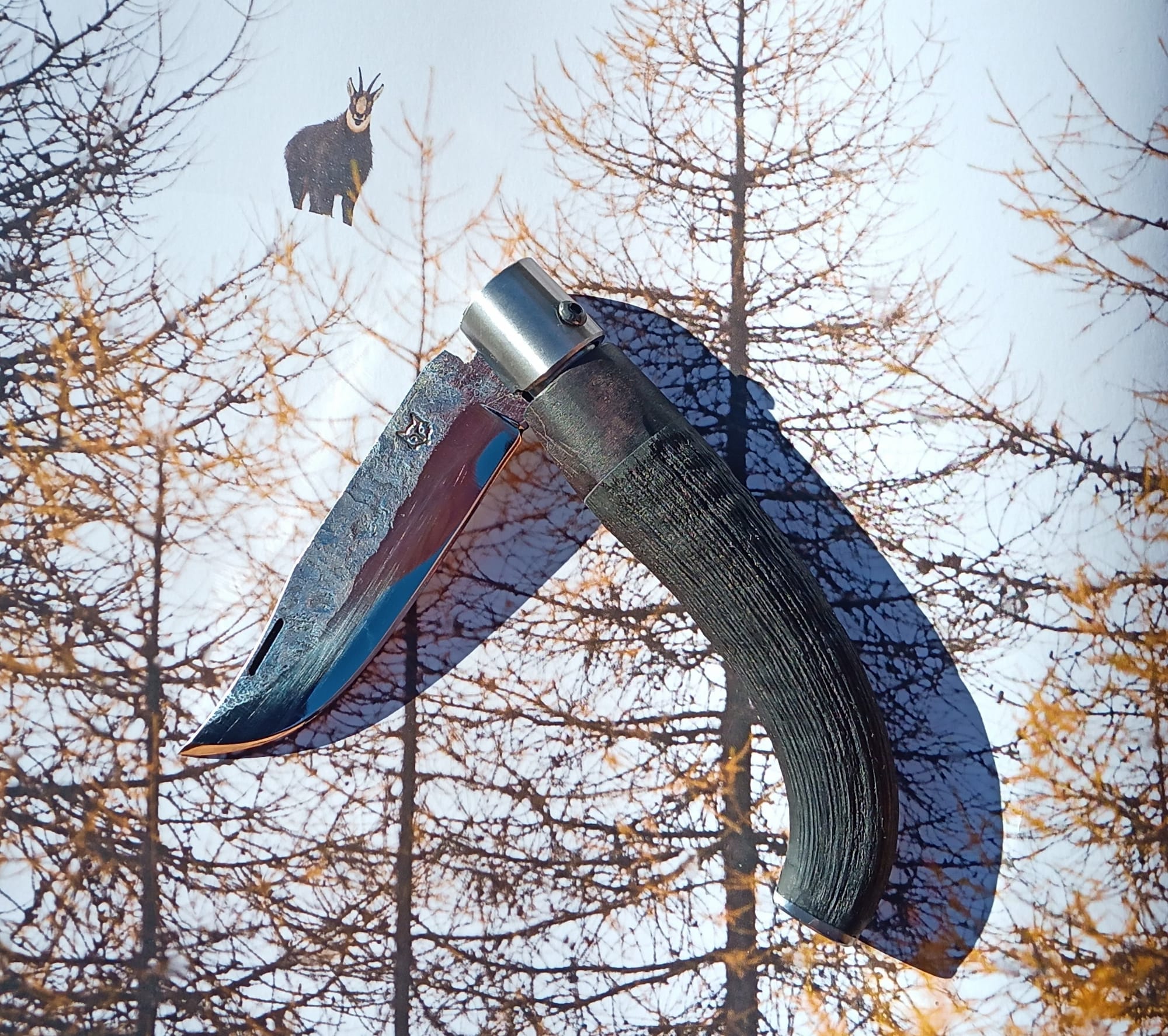 BANU PLIANT - 100€