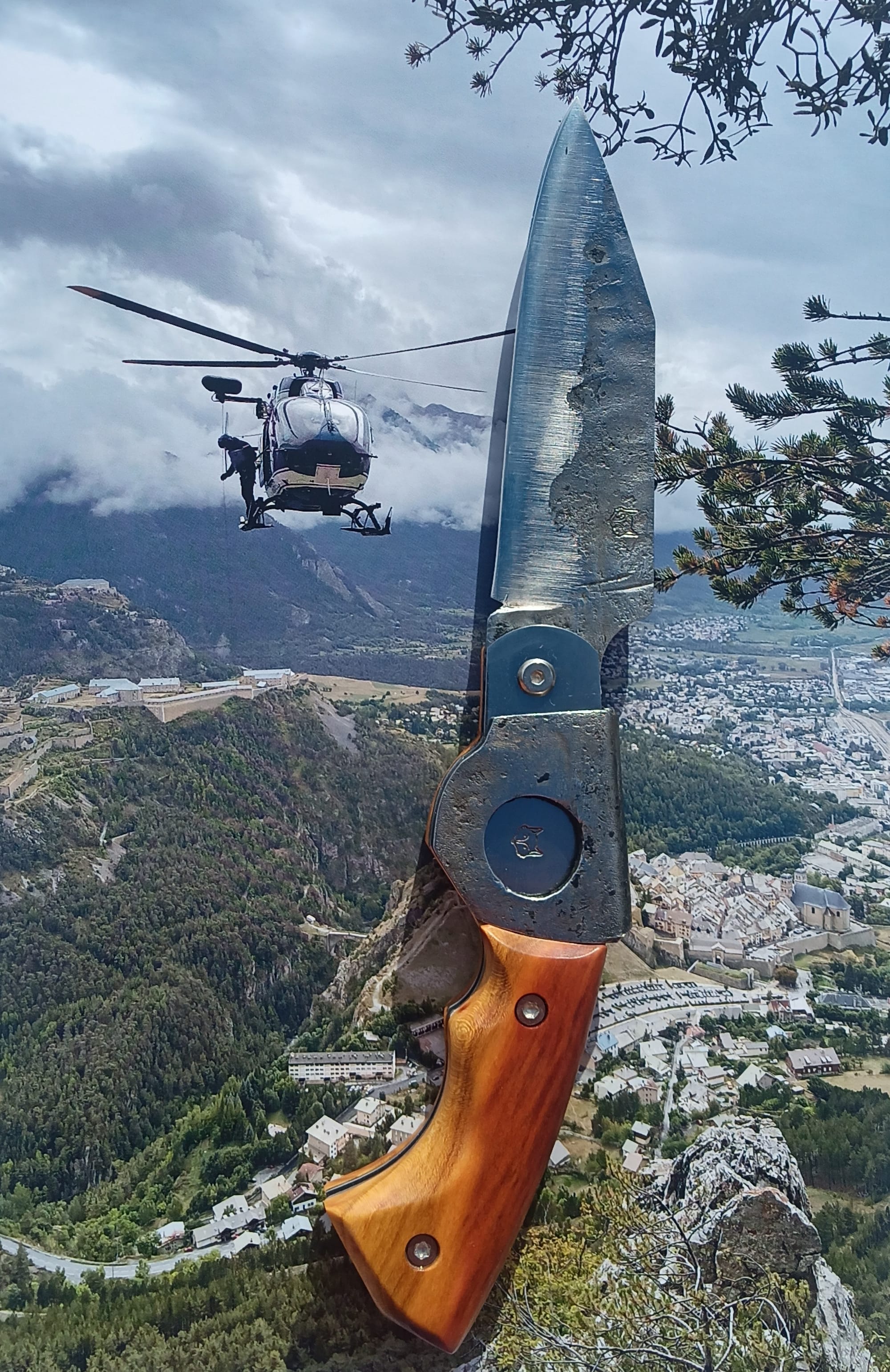 LE PITON REQUIN - 200€