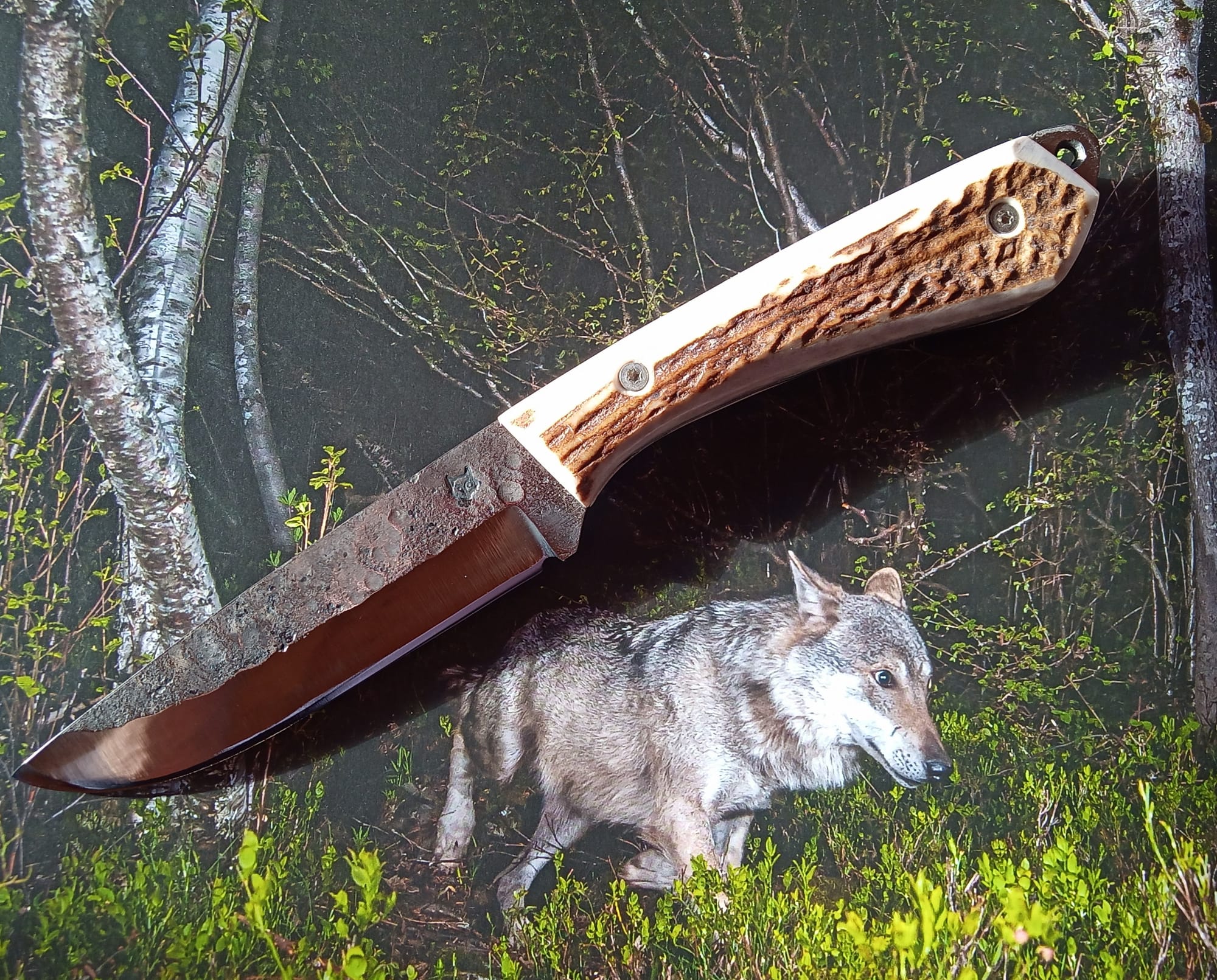 LE CHAT HUANT version bushcraft