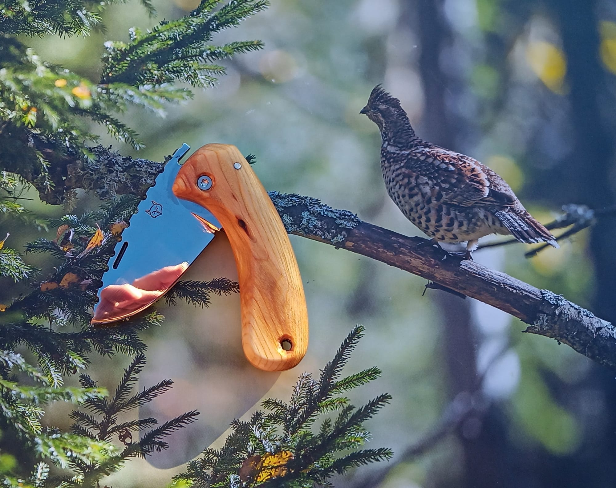 LE COUCOU PLIANT (commande)