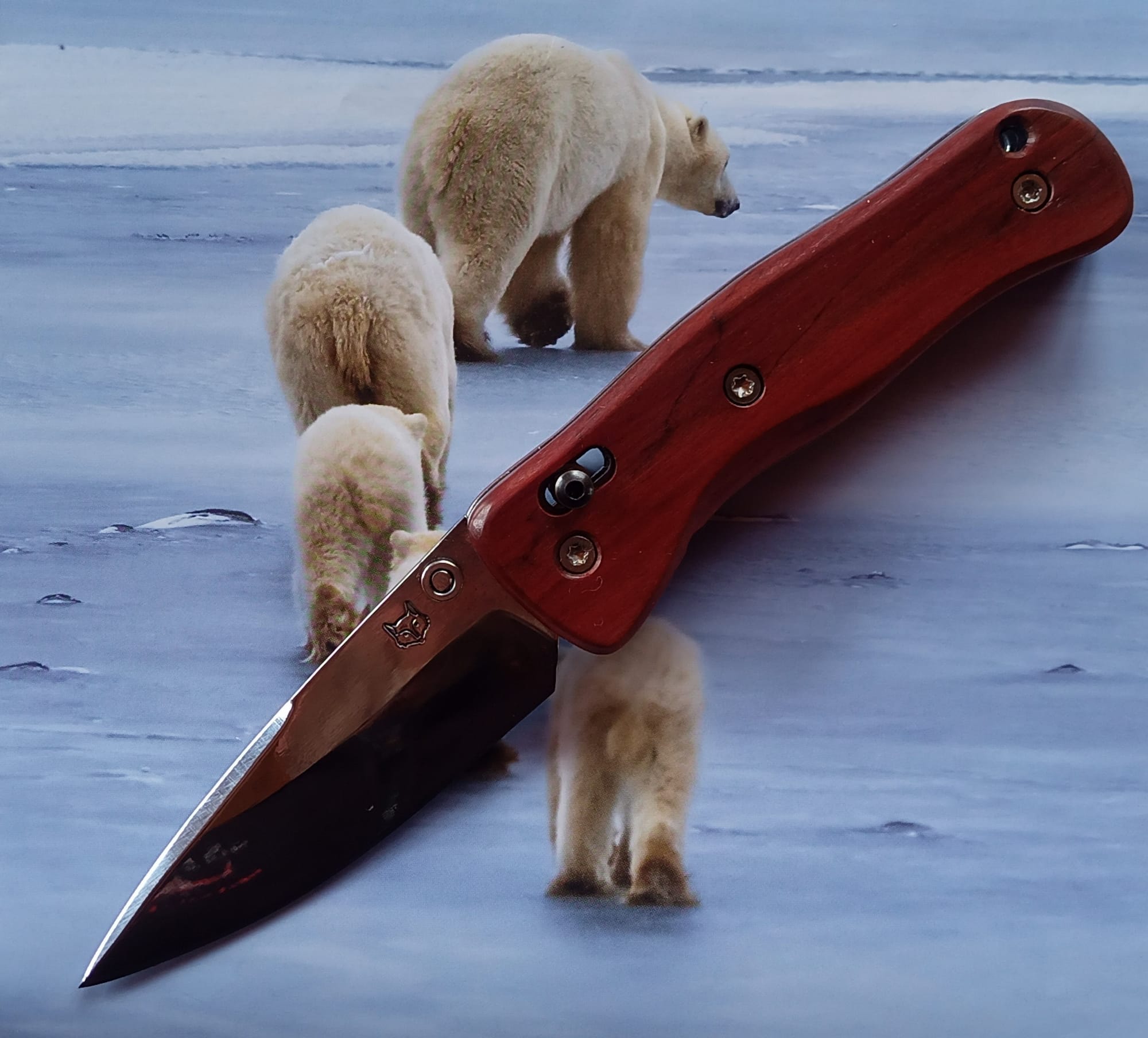 AXIS-LOCK en prunier rouge.