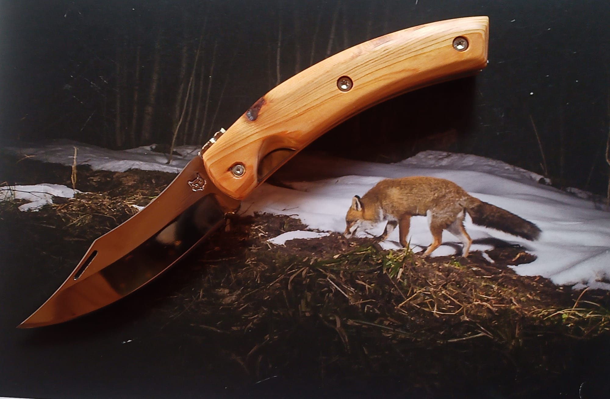 LE RENARD