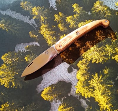 LE ST GUILHEM - 140€