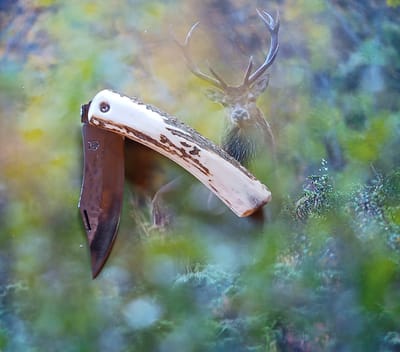 PIÉMONTAIS bois de cerf - 90€