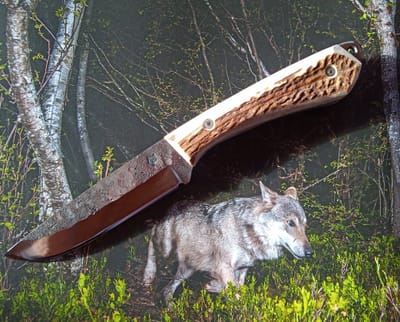 LE CHAT HUANT version bushcraft