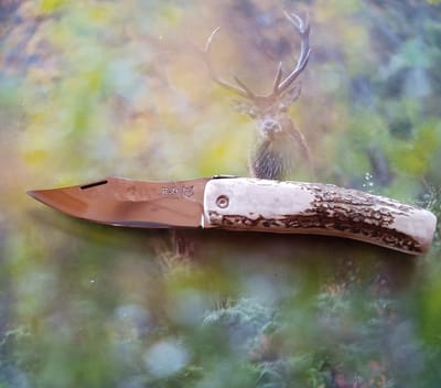 Renard Piémontais - 90€