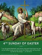 2025,  5, 11 - 4th Sunday of Easter Y C