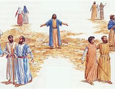 2025,  7,   6 - 14th Sun in Ordinary Time YC