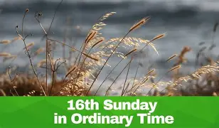 2026,  7, 19, 16th Sun in Ordinary Time YA