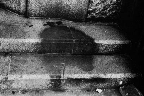 Schatten des Grauens