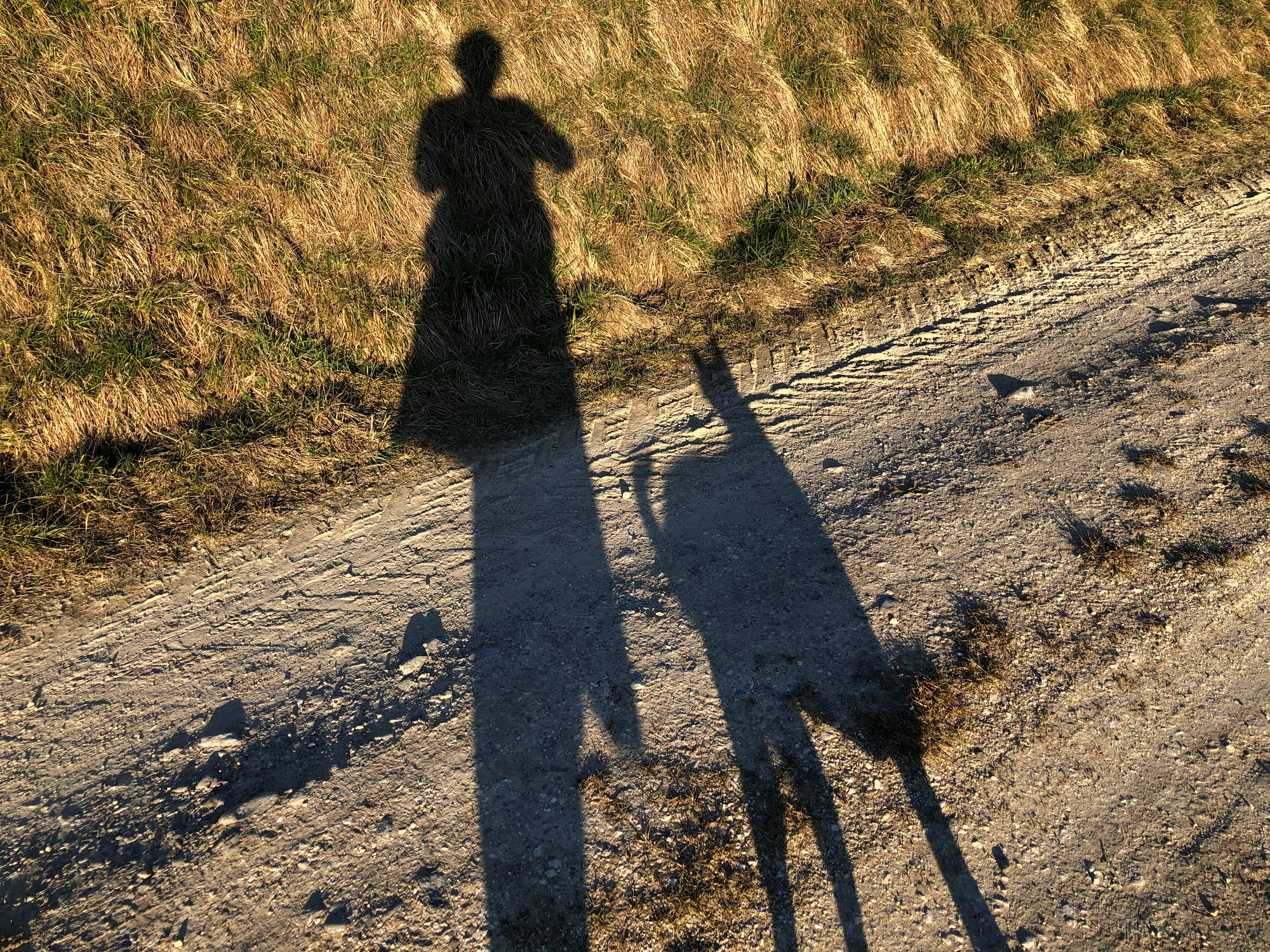 Artistbook: Catch your Shadow