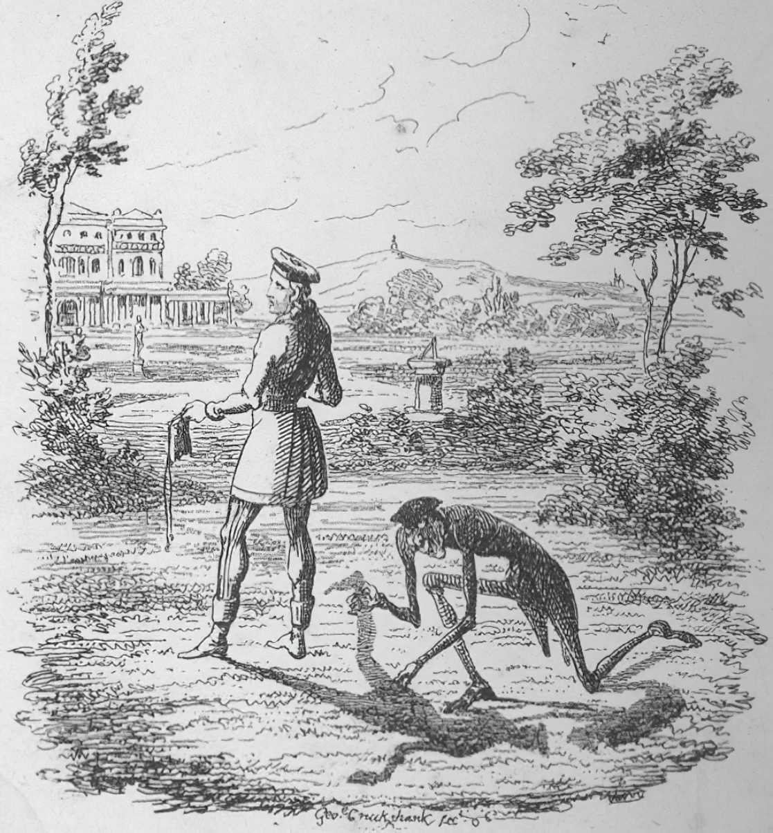 Der verkaufte Schatten