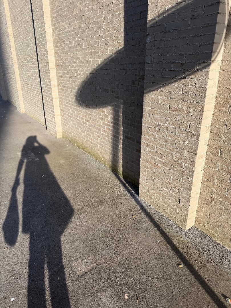 Postcard Collection -                     Catching Shadows