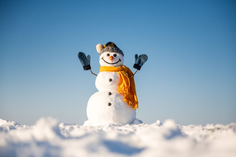 Fête d'hiver 2026