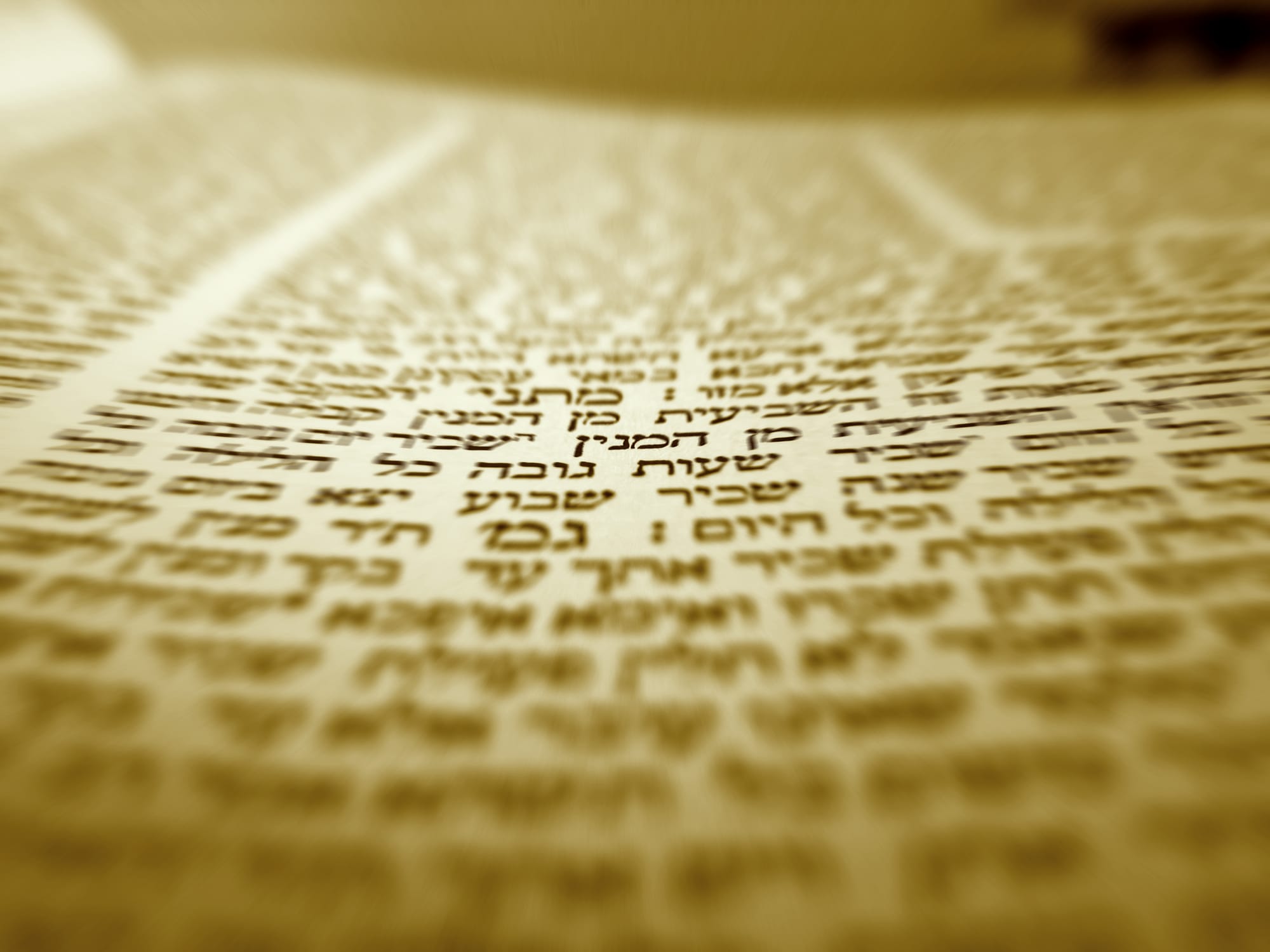 "יגדיל תורה ויאדיר": להגדיל בנו שכל של תורה - חולין סו, ב