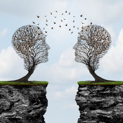 השותפות שאינה נגמרת - בבא בתרא יג