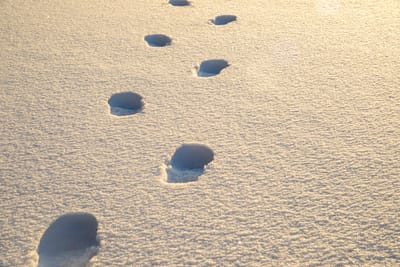 "דורשי רשומות": גילוי הרשמים הטובים על העולם - סנהדרין קד, ב