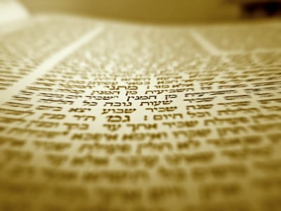 "יגדיל תורה ויאדיר": להגדיל בנו שכל של תורה - חולין סו, ב