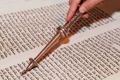 חכמים מכוונים לעומק דין התורה - חולין פג, א