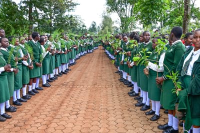 Campaigns And Projects image