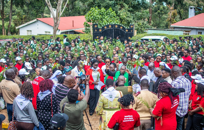 Campaigns And Projects image