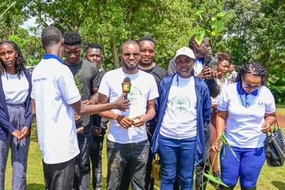 Campaigns And Projects image