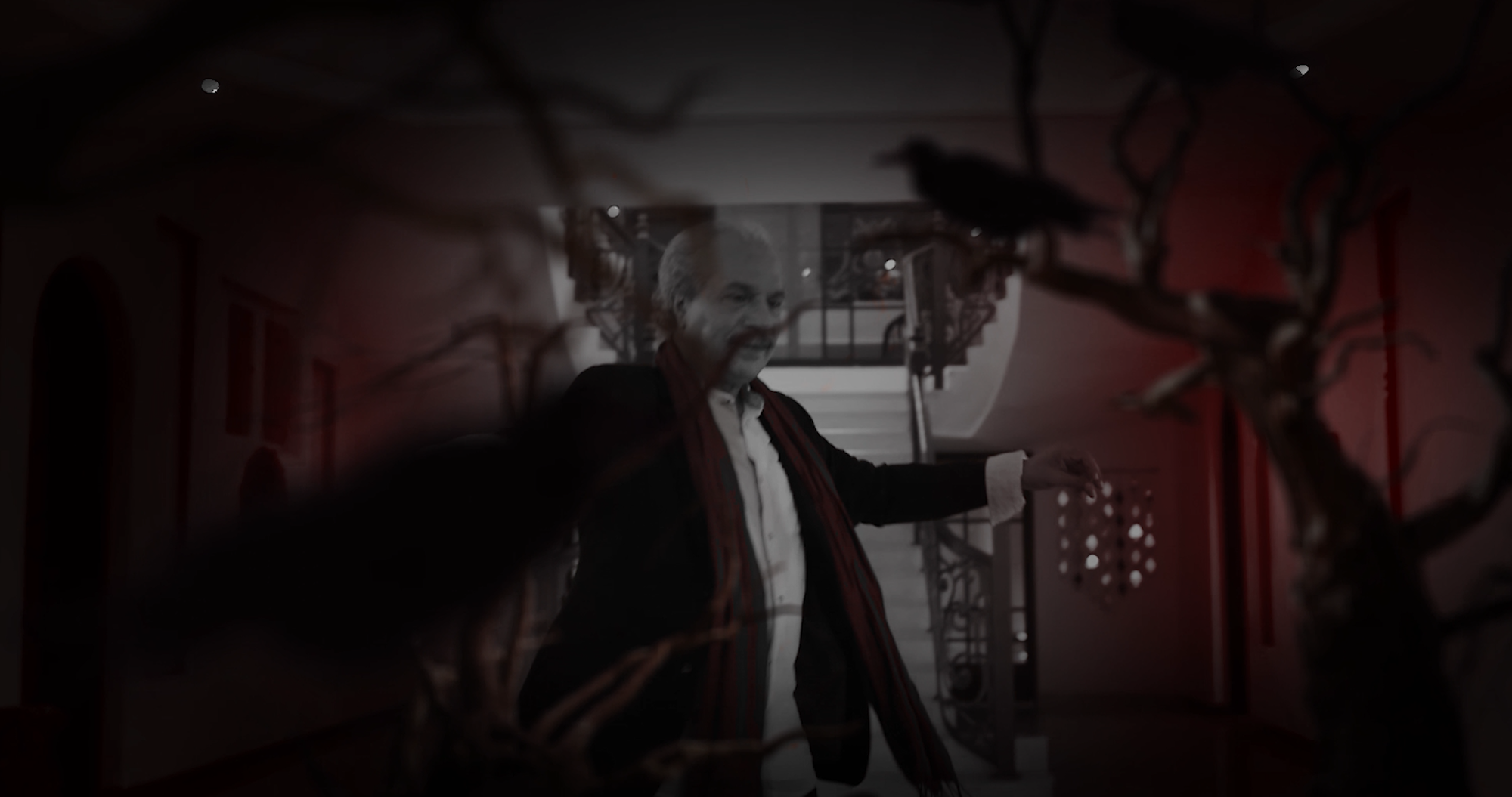 في مجال الدراما