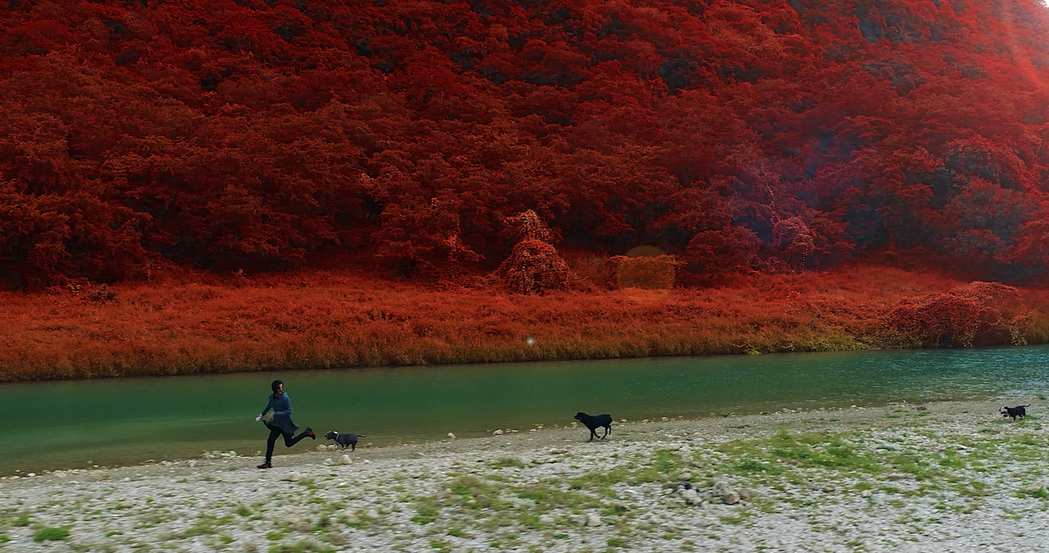 في مجال الدراما