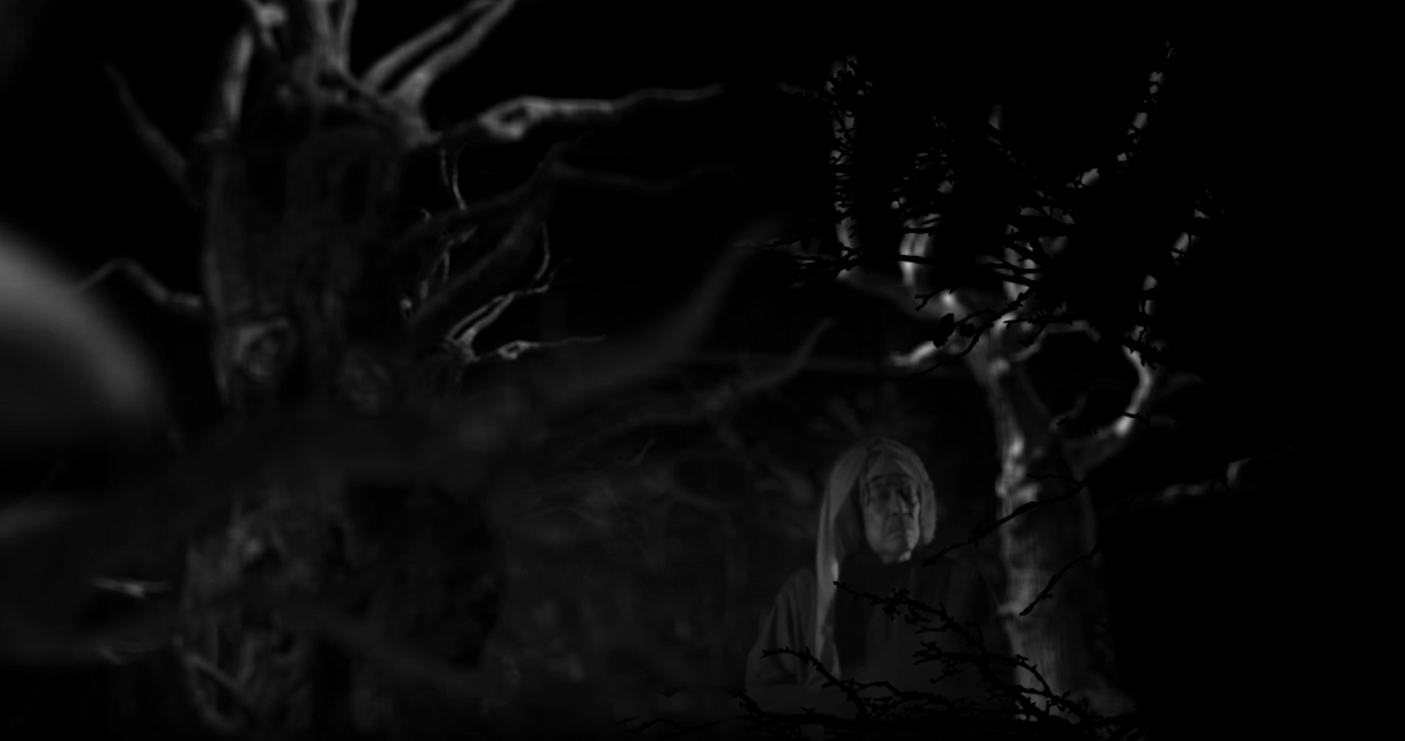 في مجال الدراما