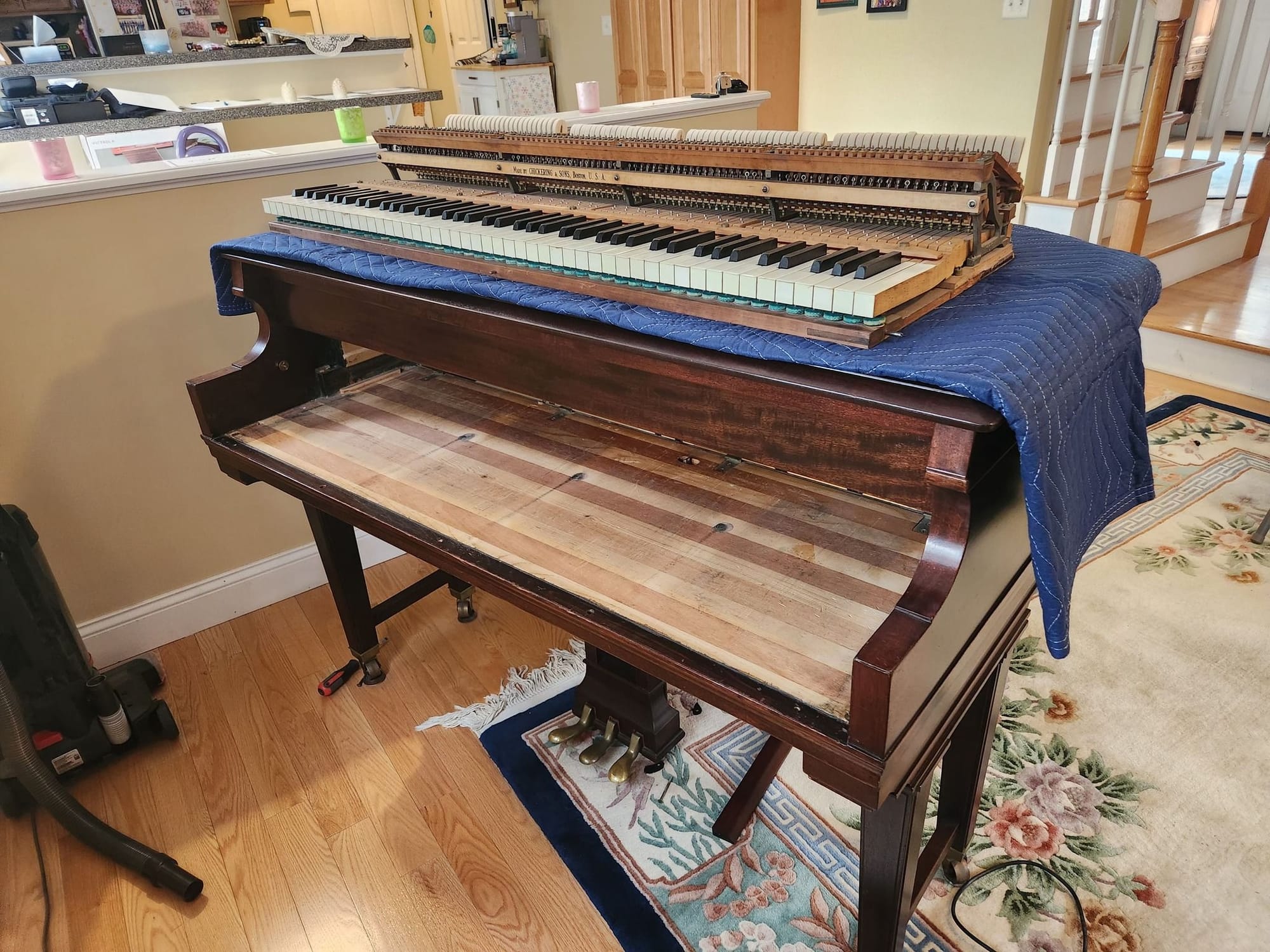 Grand piano complete cleaning service